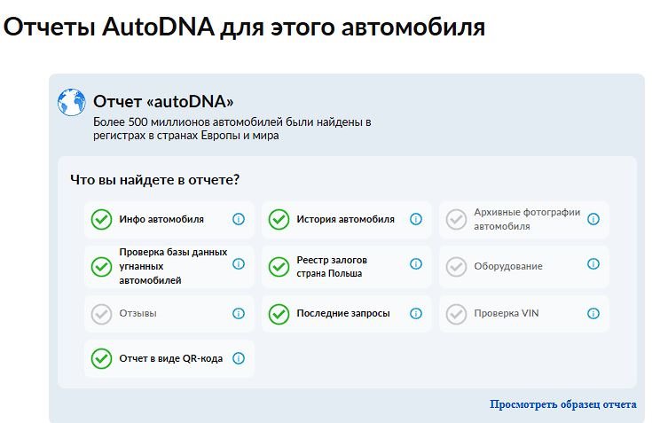 Интерфейс autoDNA отчета